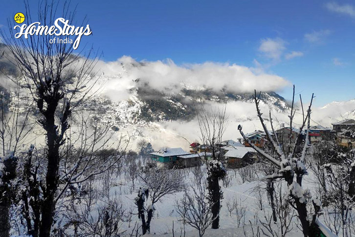 Winter-Himalayan Harmony Homestay-Jibhi