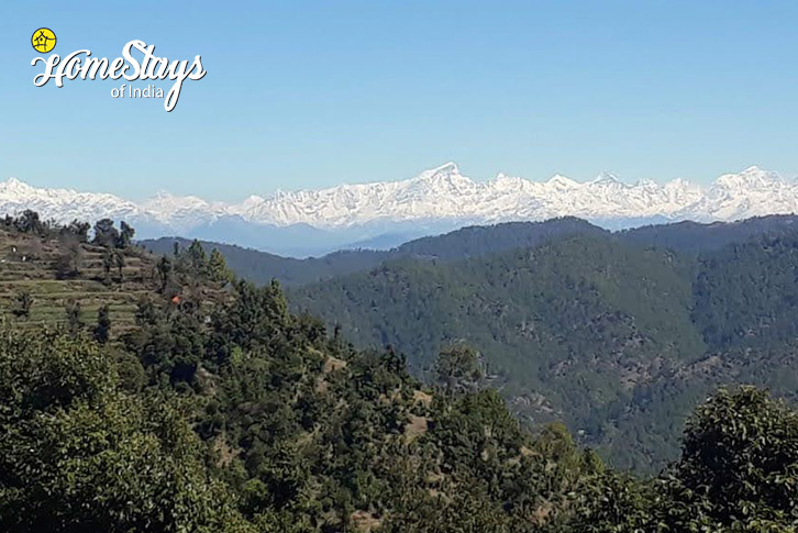 Mountian-Peaceful Escape Homestay, Sargakhet-Mukteshwar