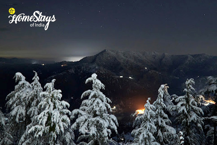 Night-View-Hills & Valley Homestay- Shimla