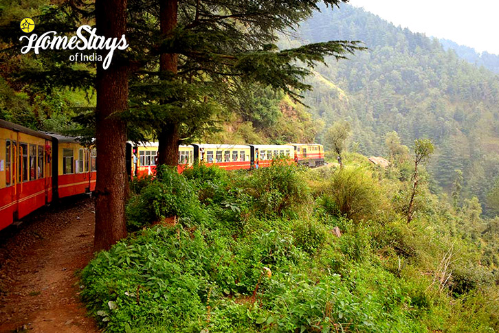 Surrounding-Between the Hills Homestay-Shimla