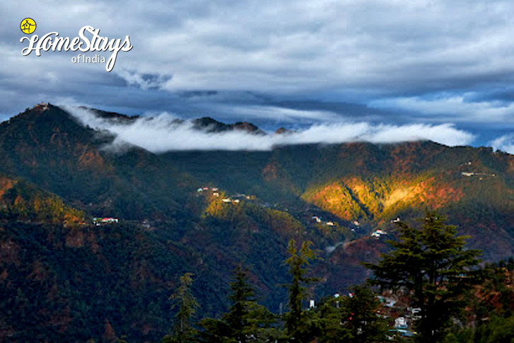 Valley-View-Hills & Valley Homestay- Shimla