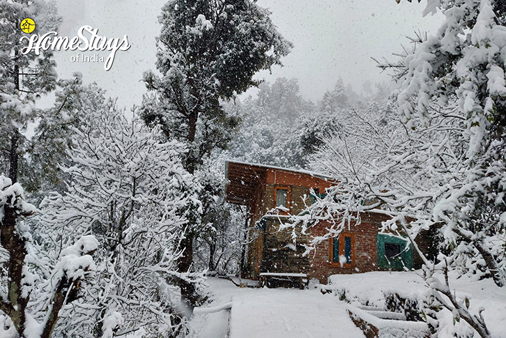 Winter-View-Earthly Delights Homestay, Jalna-Almora