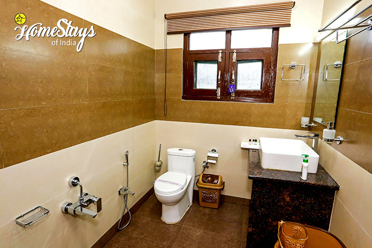 Bathroom-1-Willow Tales Homestay-Srinagar