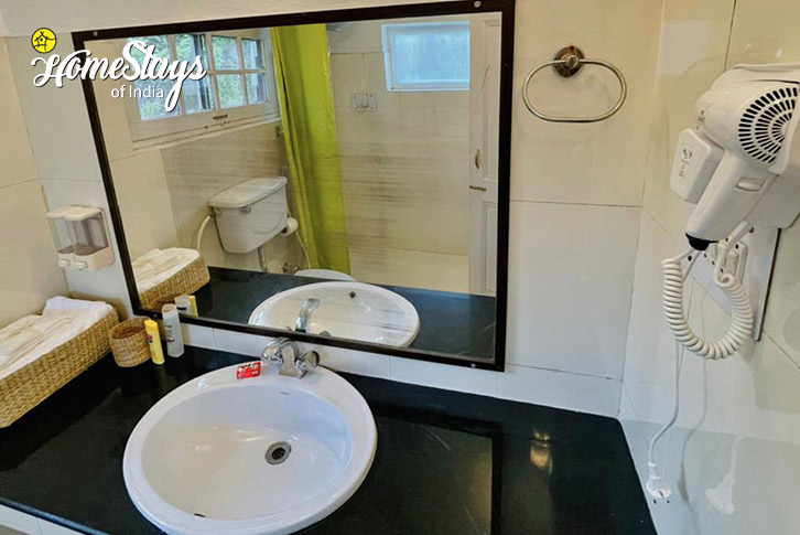 Bathroom-Enduring Elegance Homestay-Srinagar