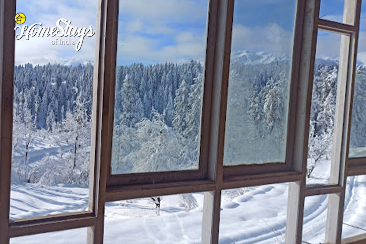 Winter Window-Serendipity Homestay-Yousmarg-1