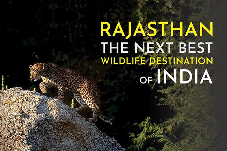Rajasthan-the Next Best Wildlife Destination of India
