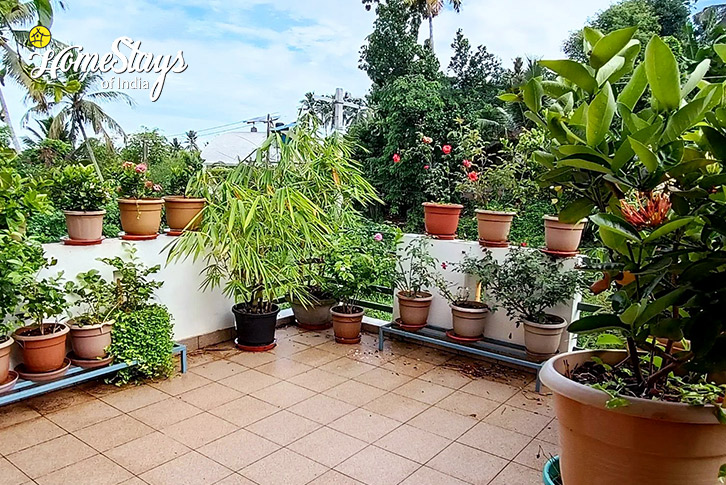 Terrace-Food-Bright and Breezy Homestay-Thiruvallam