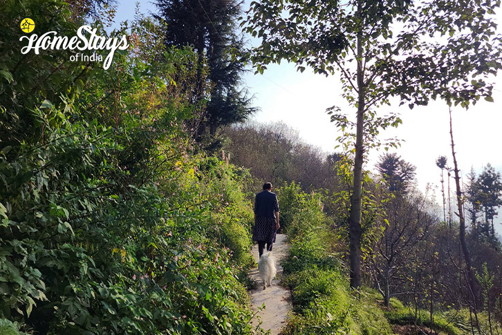 Morning-Walk-Deodar Homestay, Ranot-Rampur