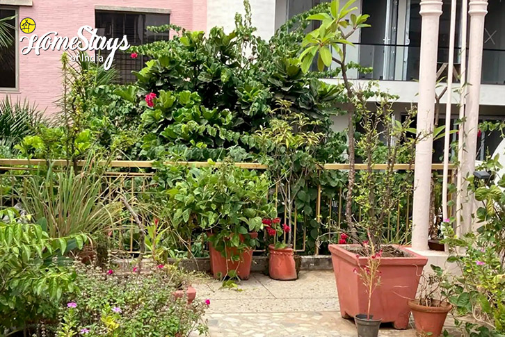Terrace-Garden-The Cozy Vibes Homestay, Delhi