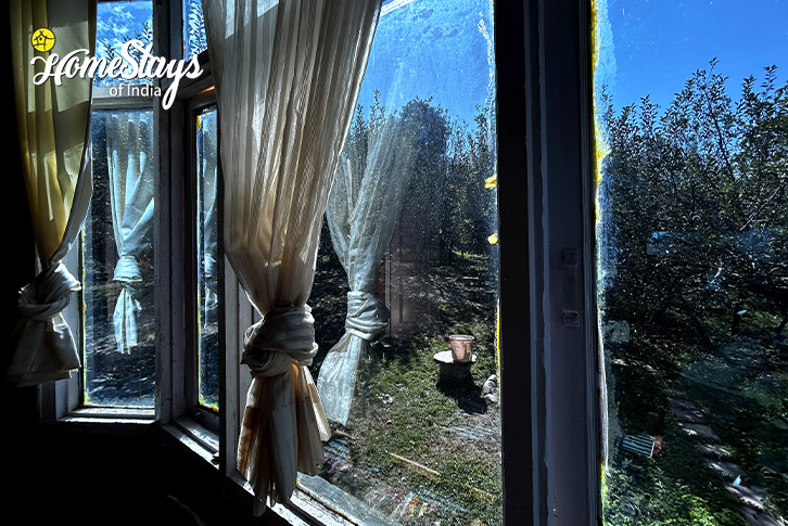 Window-Himalayan Aura Homestay-Manali