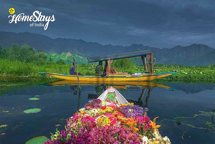 Dal Lake-Floating Market-HOI Trips-Kaleidoscopic Kashmir