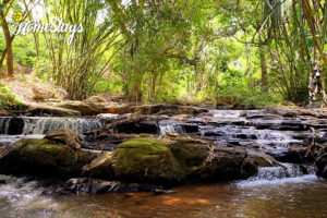 River-Healing Touch Homestay-Coorg