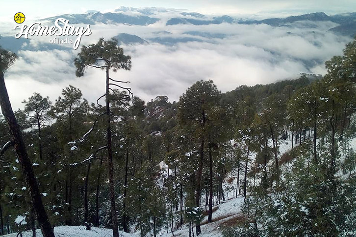 Valley-in-Winter-Divine Aura Homestay-Kasar Devi