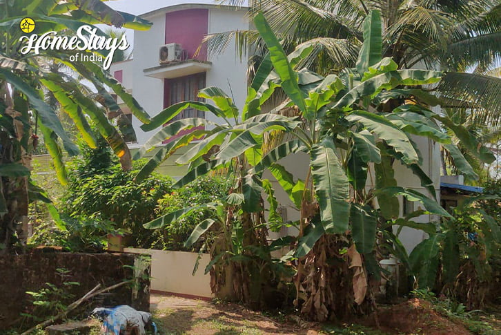 Backyard-Sun, Sand & Sea Beachview Homesṭay-Mangalore