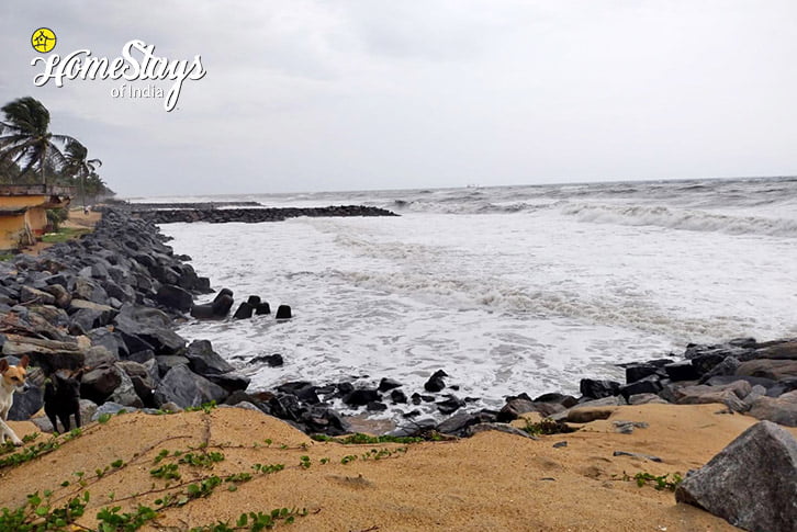 Beach-View-Sun, Sand & Sea Beachview Homesṭay-Mangalore