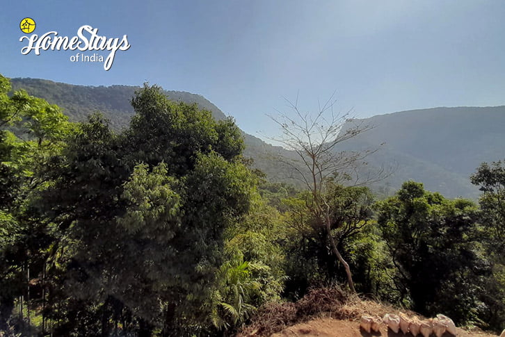 Mountain-Umshiang Homestay, Tyrna-Cherrapunji