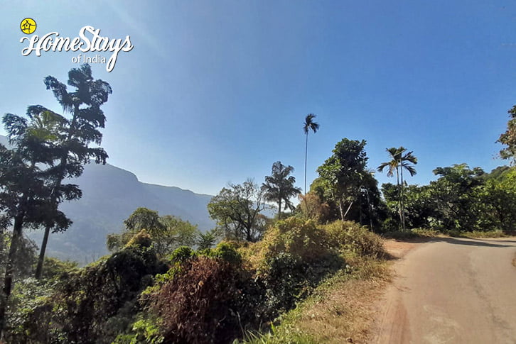 Mountain-View-Umshiang Homestay, Tyrna-Cherrapunji