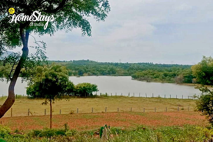 Surrounding-1-Rustic Villa, Dodballapur-Bangalore