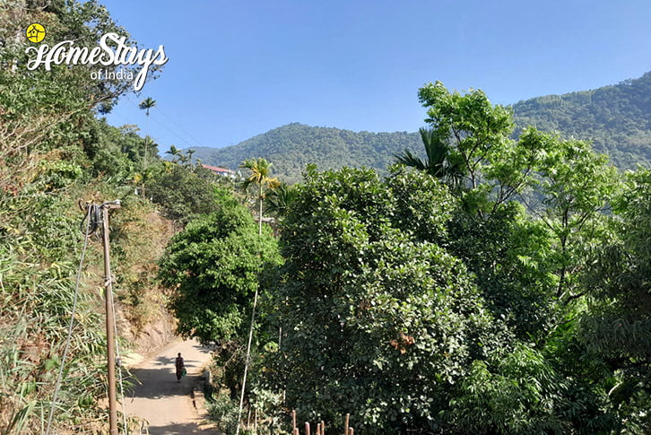 View-From-Terrace-Umshiang Homestay, Tyrna-Cherrapunji