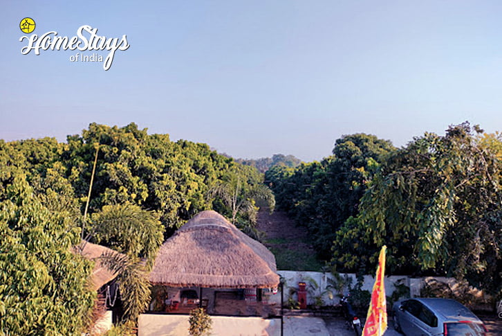 Mango-Garden-Earthy Vibes Farmstay-Kaladhungi