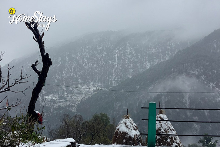 Winter-Country Comfort Homestay-Kainchi Dham