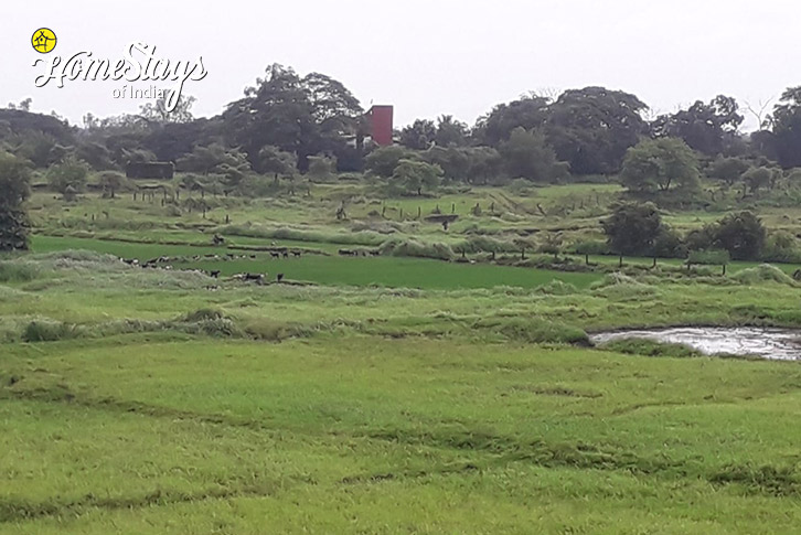 Surrounding-3-Weekend Hideaway-Karjat