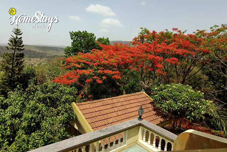 Surrounding-Nature's Nest Malkhed-Pune