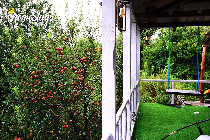 Swing-Wonderland Homestay-Naggar-Manali