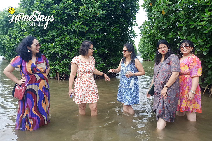 Mangrove-Forest-Song of the Sea Homestay, Payyanur-Kasaragod