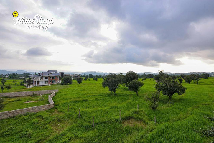 Surrounding-Pine Crest Villa-Dharamshala