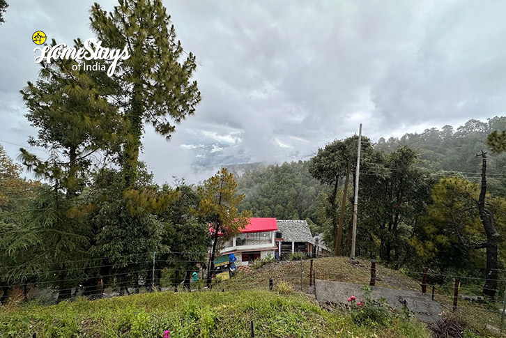 View-The Tranquil Nest Homestay-Chail