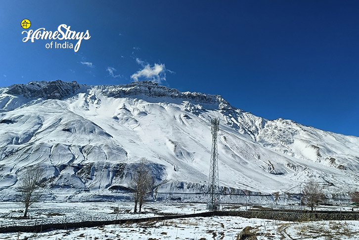 Winter-1-Coziness Homestay-Kaza