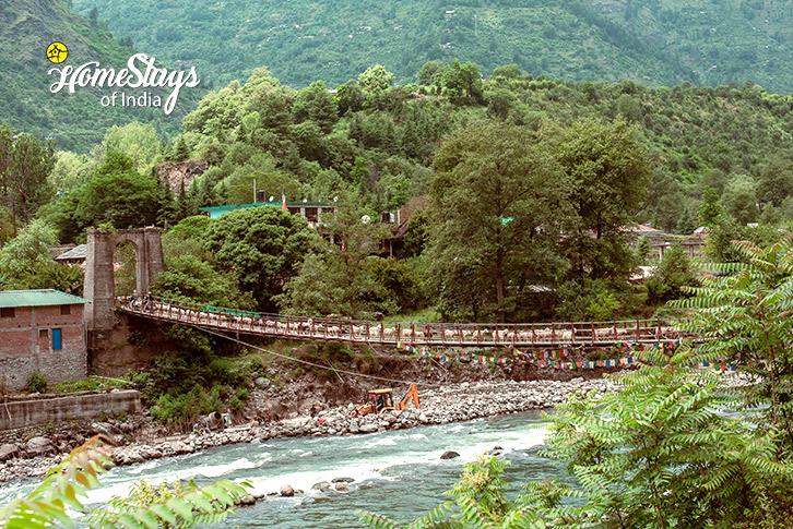 Bridge-Verdant Vista Homestay, Dobhi-Kullu