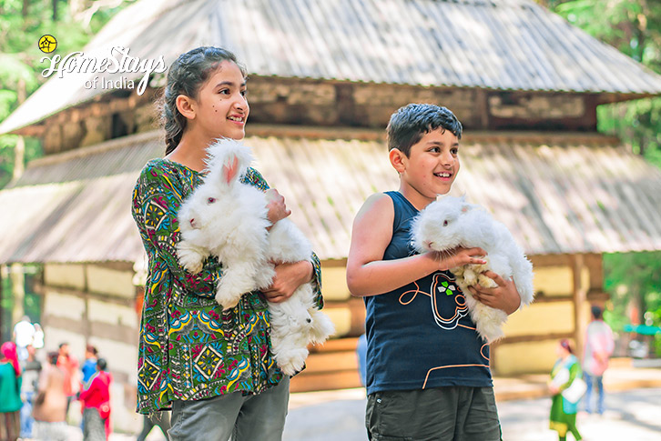 Happy kids-Verdant Vista Homestay, Dobhi-Kullu