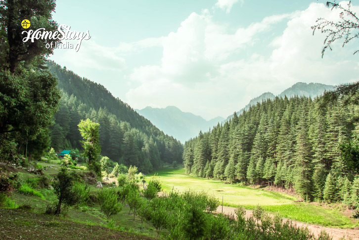 Near By Place 2-Verdant Vista Homestay, Dobhi-Kullu