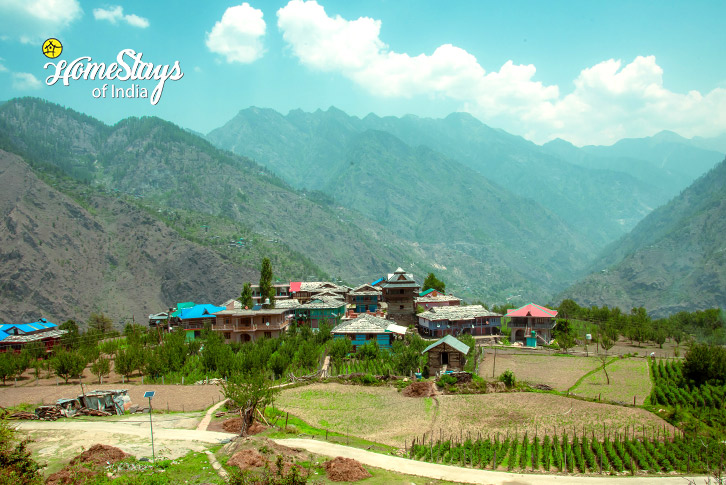 Surrounding 2-Verdant Vista Homestay, Dobhi-Kullu