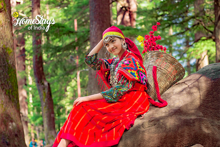 Traditional Dress 2-Verdant Vista Homestay, Dobhi-Kullu