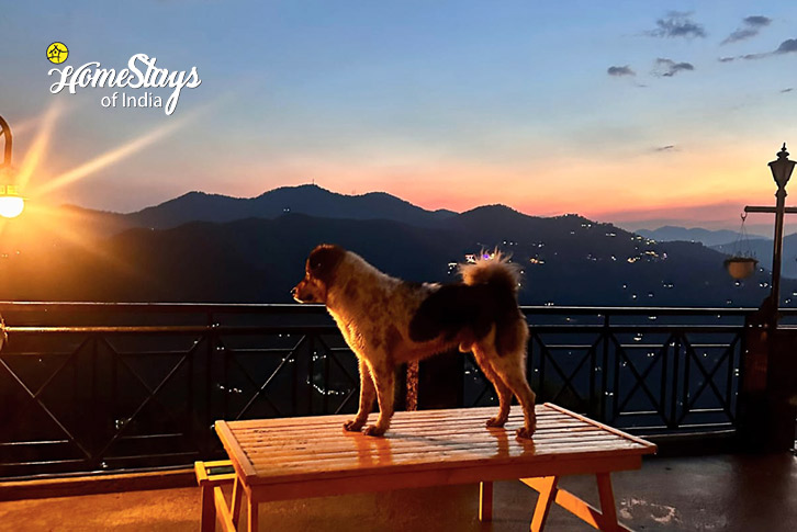 Pet-Friendly-Sargakhet Cottage-Mukteshwar