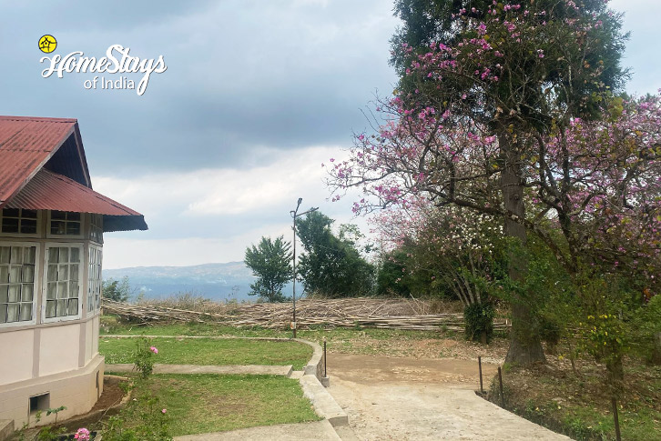 Pathway-Imperial Heritage Homestay-Shillong 
