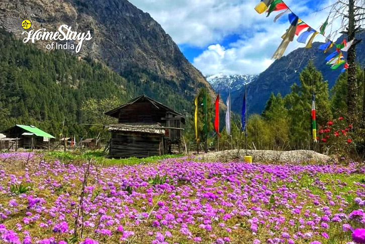 Surrounding-The Fifth Cloud Homestay, Lachen