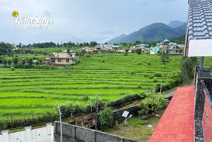 Balcony View-Mindful Meadows Homestay-Palampur