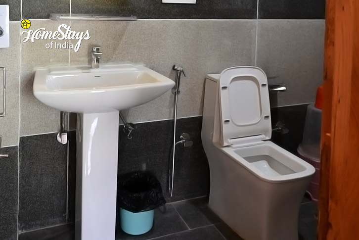Bathroom 2-Mountain Mania Homestay, Jari-Kasol