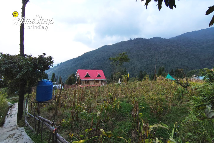 Farm-The Quiet Perch Cottage, Rampuria - Darjeeling 