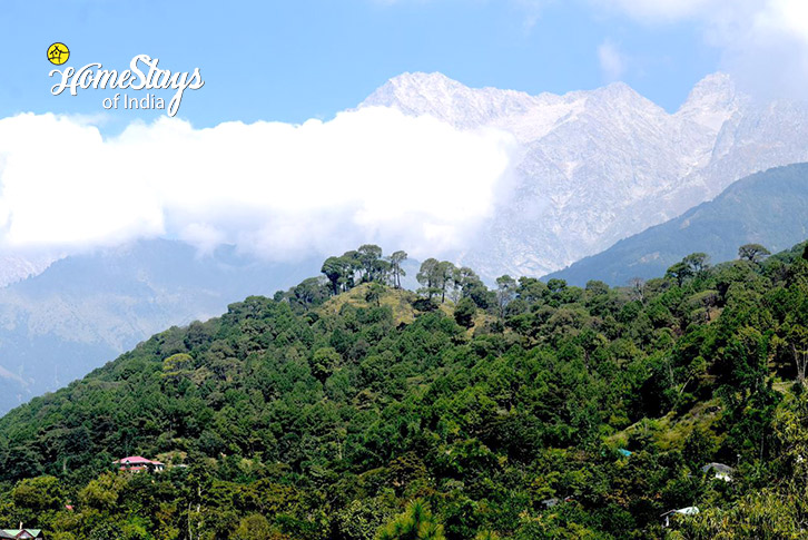 Mountain-Mindful Meadows Homestay-Palampur