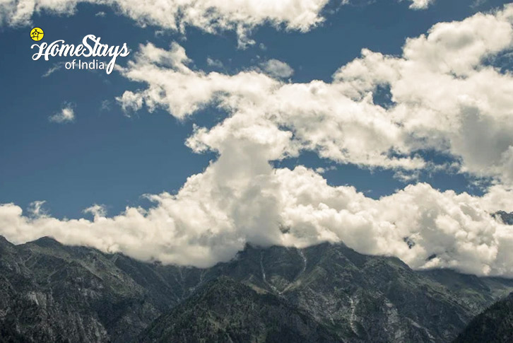 Mountain-Serene Escape Homestay-Kalpa