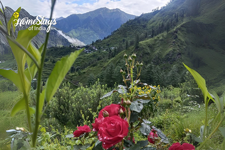 Surrounding 2-The Alpine Homestay, Jakhol