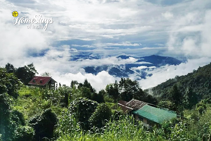 Surrounding 2-The Quiet Perch Cottage, Rampuria - Darjeeling 