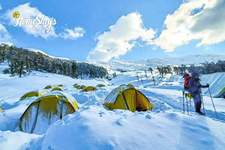 Trekking 2-The Alpine Homestay, Jakhol