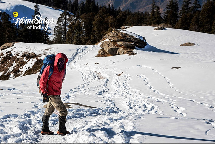 Trekking-The Alpine Homestay, Jakhol