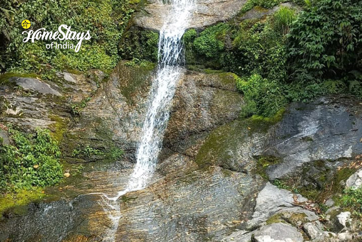Waterfall-The Quiet Perch Cottage, Rampuria - Darjeeling 
